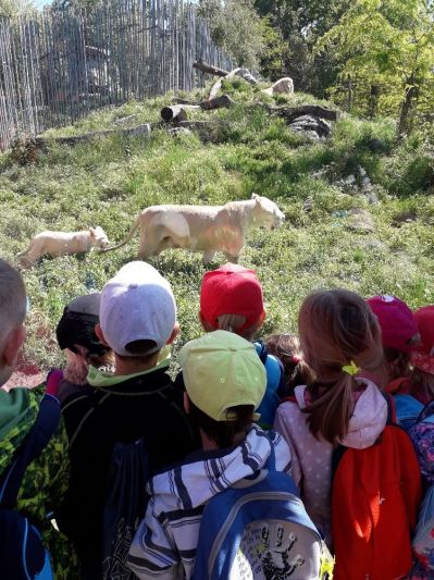 Výlet ZOO Hodonín