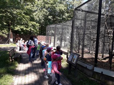 Výlet ZOO Hodonín