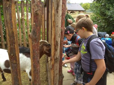 Papouščí ZOO