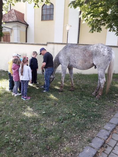 Domácí zvířátka v MŠ