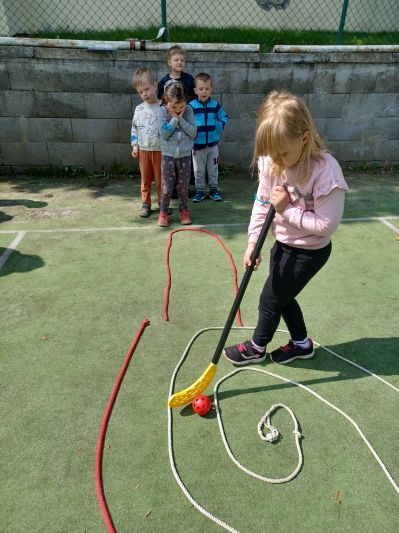 Zakončení projektu Se Sokolem do života
